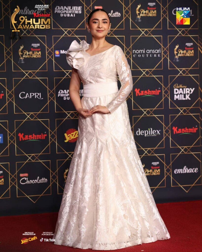 Celebrity Styles from Hum Awards 2024