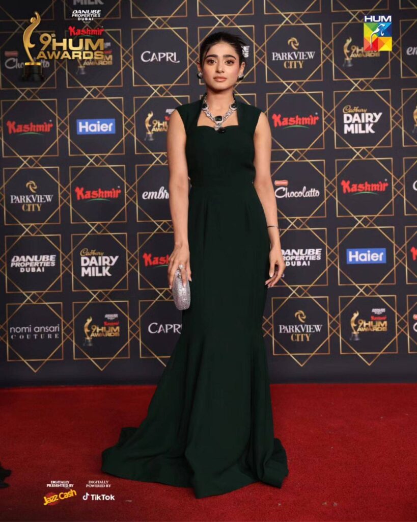 Celebrity Styles from Hum Awards 2024