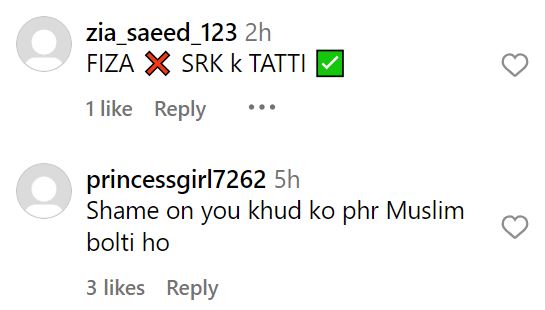 Fiza Ali Faced Backlash from USA For Her Recent Instagram Reels