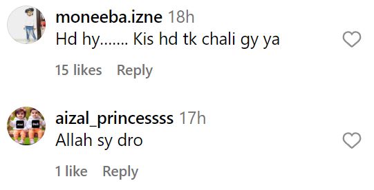 Fiza Ali Faced Backlash from USA For Her Recent Instagram Reels