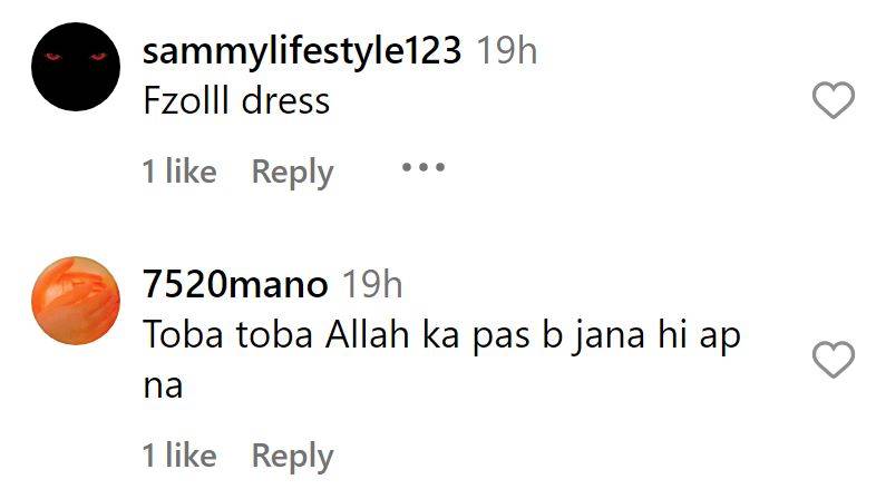 Heavily Criticism of Hiba Bukhari's Hum Awards Appearance
