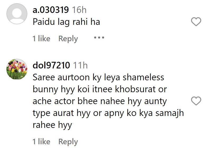 Heavily Criticism of Hiba Bukhari's Hum Awards Appearance