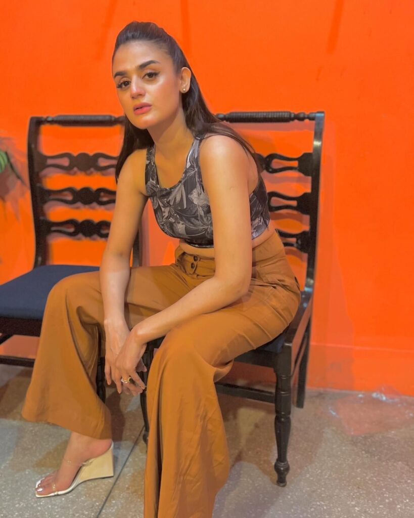 Hira Mani's Latest Reel Left the Audience in Awe