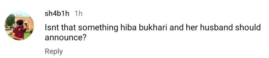 Nadia Khan Faces Criticism for Revealing the Pregnancy of Haba Bukhari