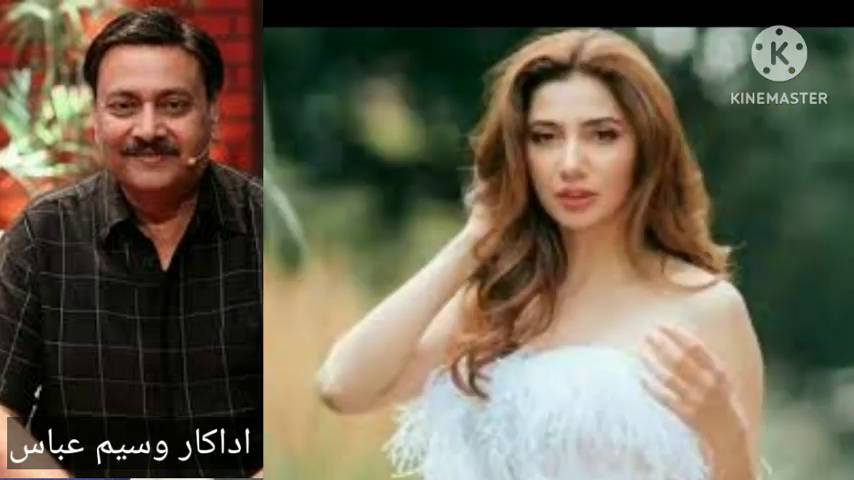 Position of Waseem Abbas Regarding Firdous Jamal's Lately Controversial Remarks