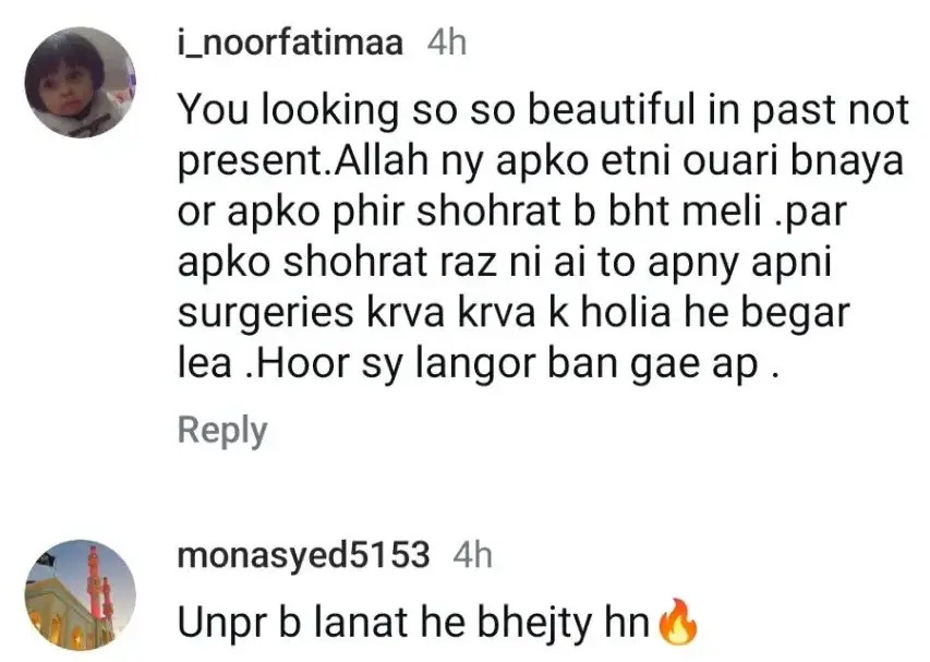 Alizeh Shah Responds Vigorously To Trolls