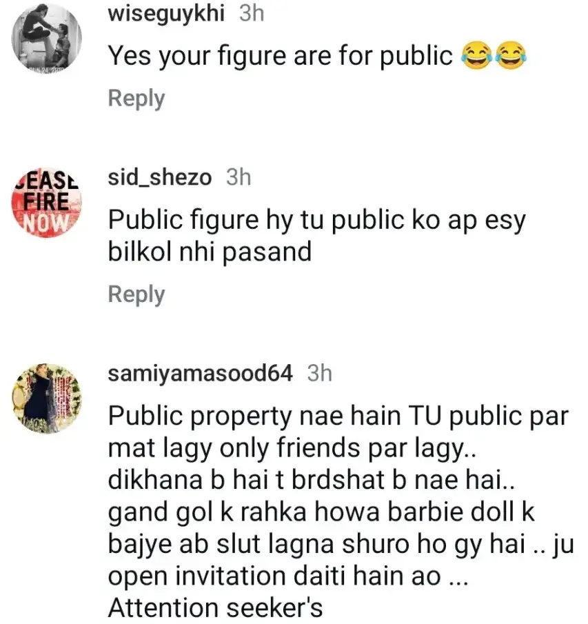 Alizeh Shah Responds Vigorously To Trolls