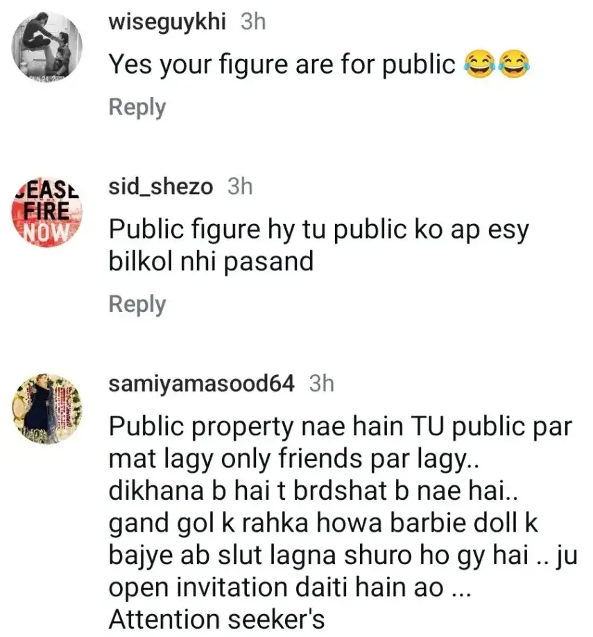 Alizeh Shah Responds Vigorously To Trolls