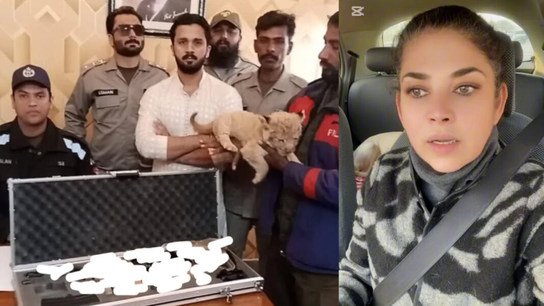 Mishi Khan Responds To Criticism By Supporting Rajab Butt
