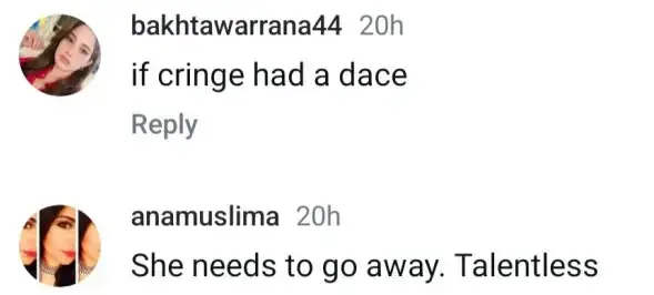 Criticism Of Dananeer Mobeen's Self-Praise
