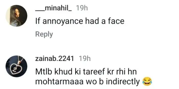 Criticism Of Dananeer Mobeen's Self-Praise
