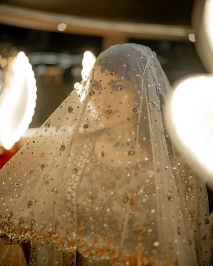 Pictures From Neelam Muneer's Wedding Reception