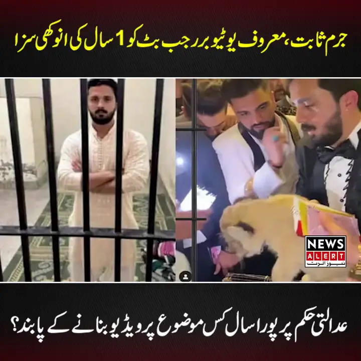 Punishment For Rajab Butt In The Lion Cub Case