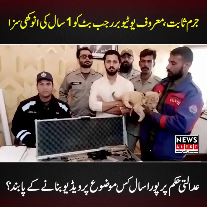 Punishment For Rajab Butt In The Lion Cub Case