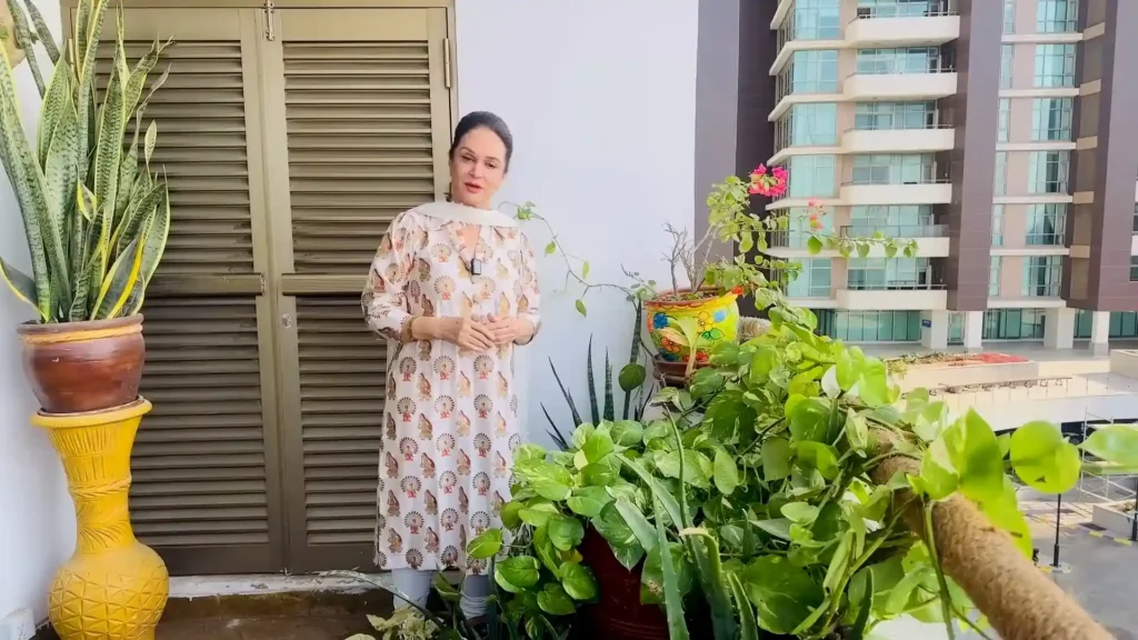 Reaction To Nasir Adeeb's Apology From Bushra Ansari