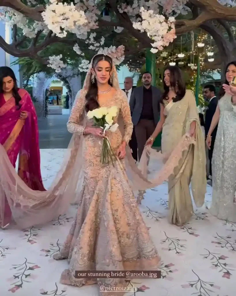 The Star-Studded Shalima Of Yashma Gill's Sister
