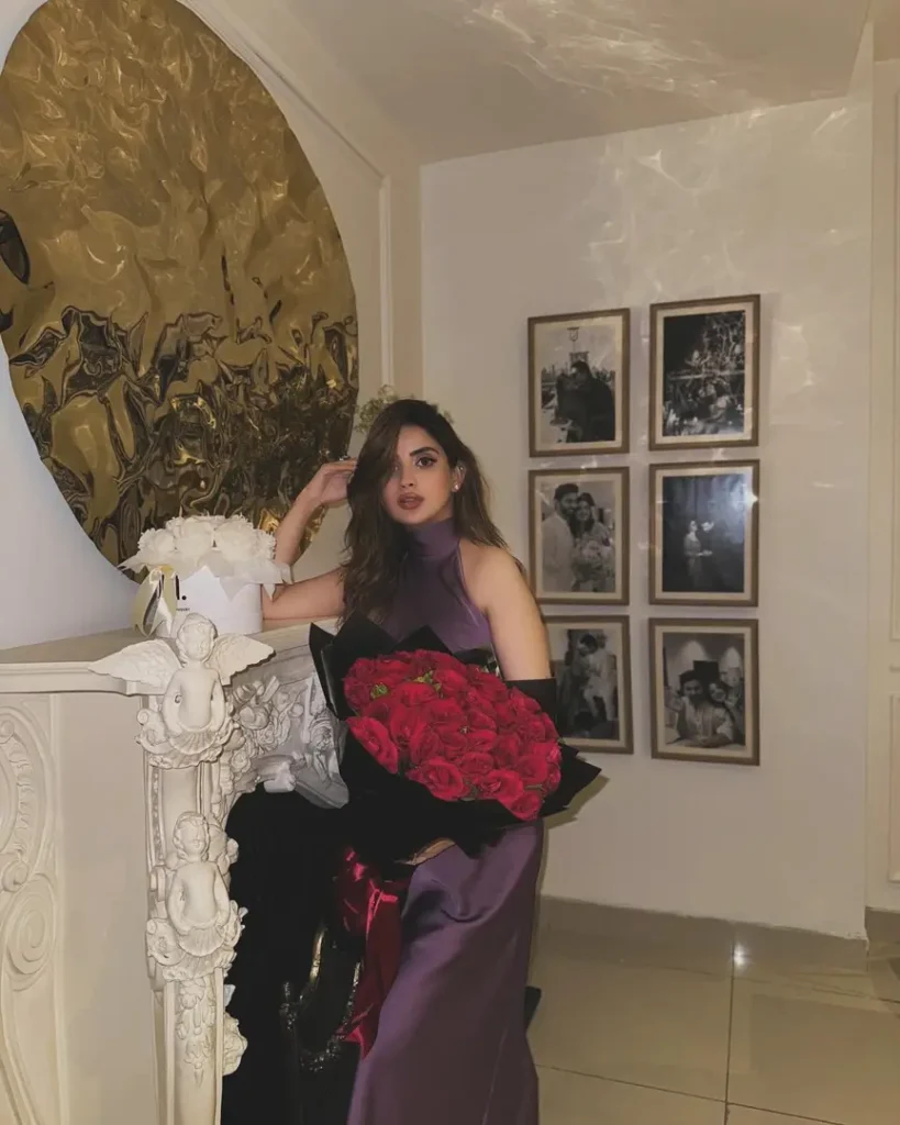 Ali Ansari & Saboor Aly's Romantic Valentine's Day Celebration