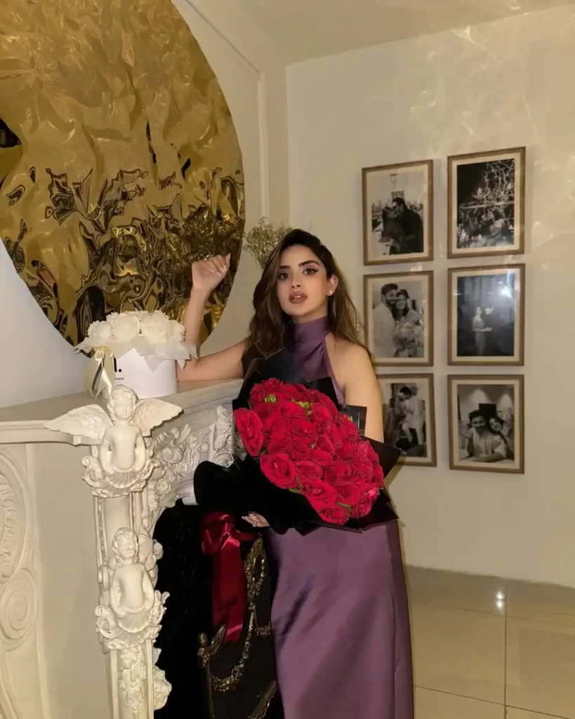 Ali Ansari & Saboor Aly's Romantic Valentine's Day Celebration