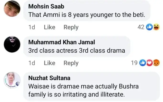 Backlash Against Javeria Saud's Acting & Character Bajjo