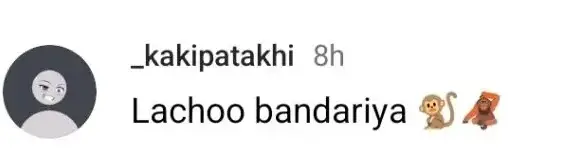 Dananeer Mobeen And His Sister Were Criticized at a Recent Event