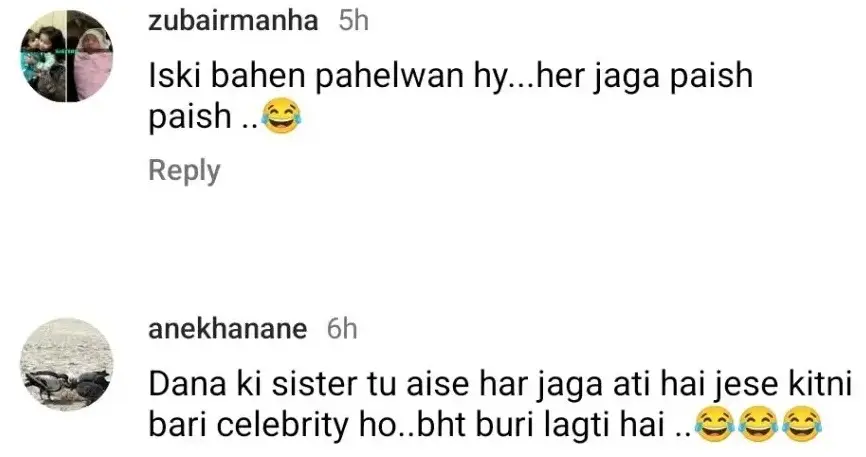 Dananeer Mobeen And His Sister Were Criticized at a Recent Event