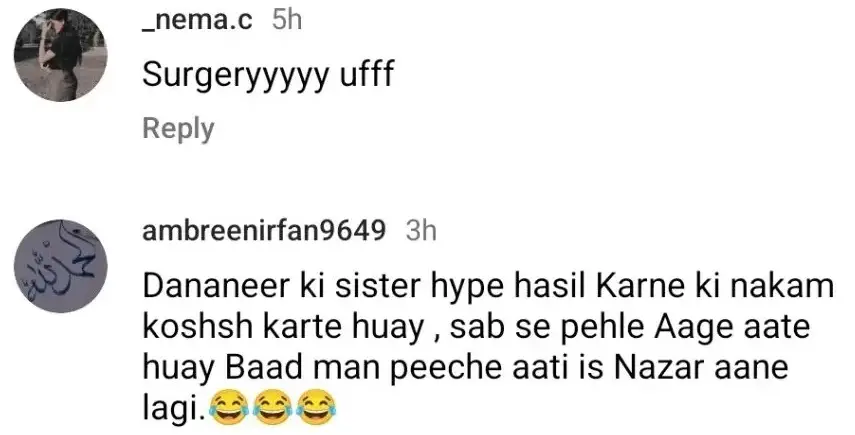 Dananeer Mobeen And His Sister Were Criticized at a Recent Event
