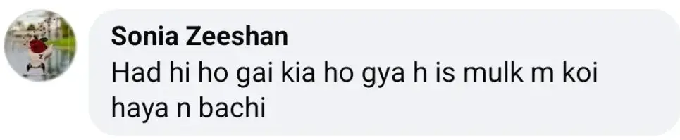 Fiza Ali's Show Draws Criticism for Vulgar Discussion