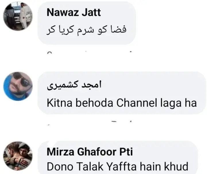 Fiza Ali's Show Draws Criticism for Vulgar Discussion