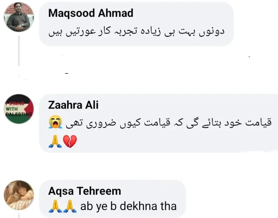 Fiza Ali's Show Draws Criticism for Vulgar Discussion