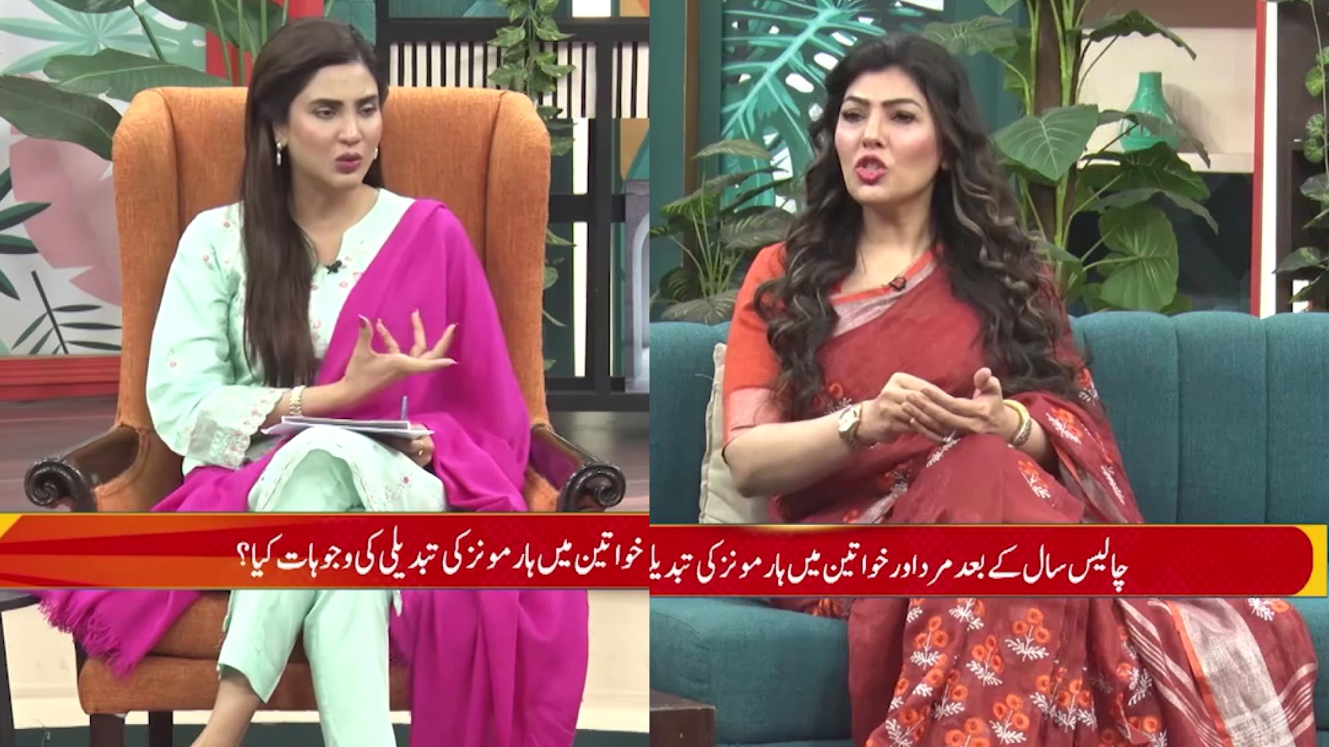 Fiza Ali's Show Draws Criticism for Vulgar Discussion