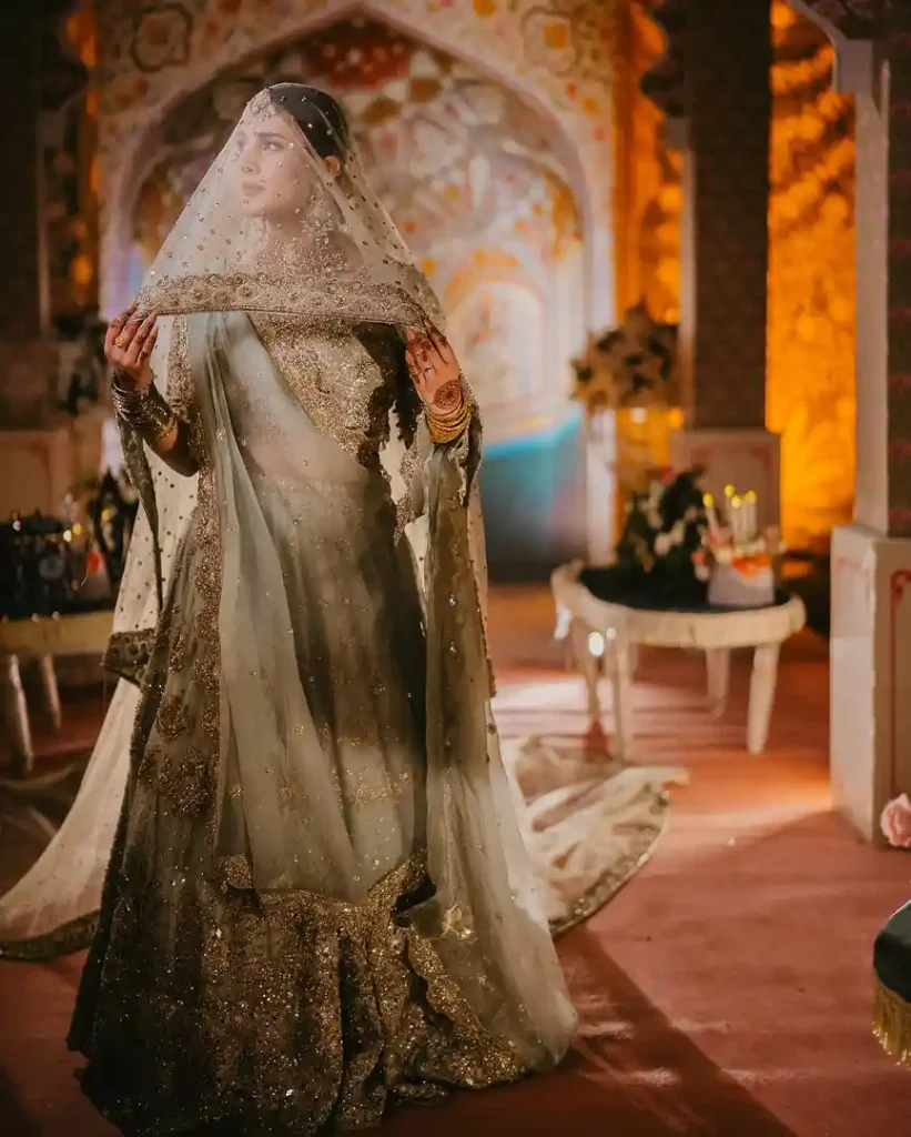 Gohar Rasheed & Kubra Khan Mehndi Pictures