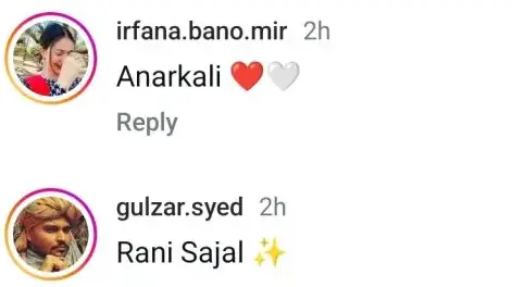 Sajal Aly's Most Recent Appearance Makes Internet Users Think of a Mughal Princess