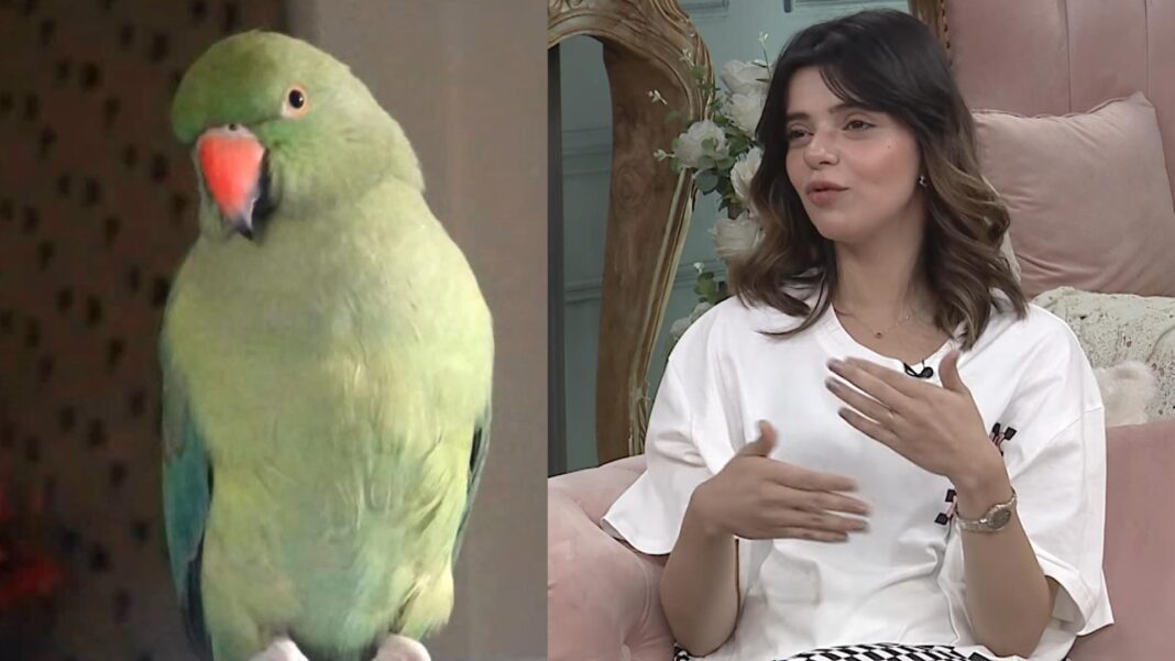 Srha Asghar Expresses Her Sadness Over the Death of Her Parrot