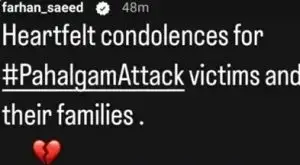 Mishi Khan Is Upset About Pakistani Celebrities Posting About the Pahalgam Attack