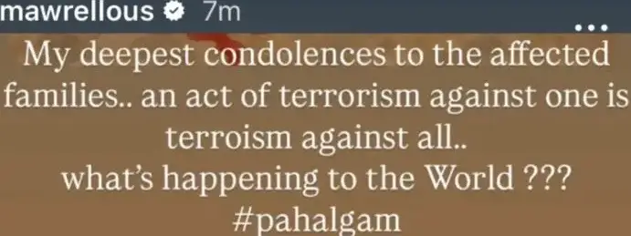 Mishi Khan Is Upset About Pakistani Celebrities Posting About the Pahalgam Attack