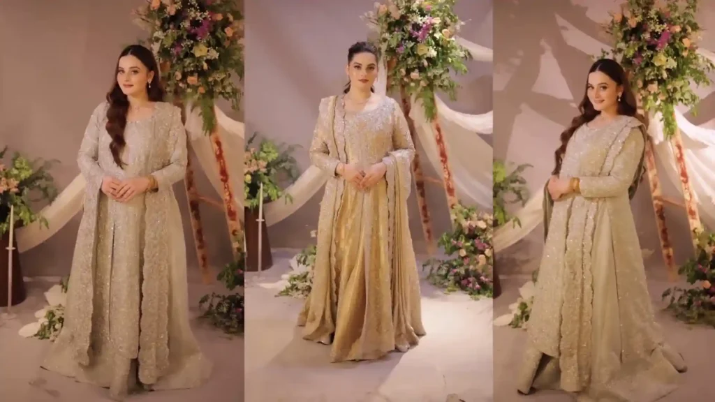 ایمن خان اور منال خان بھائی کے ولیمہ میں کیسی لگ رہی ہیں۔